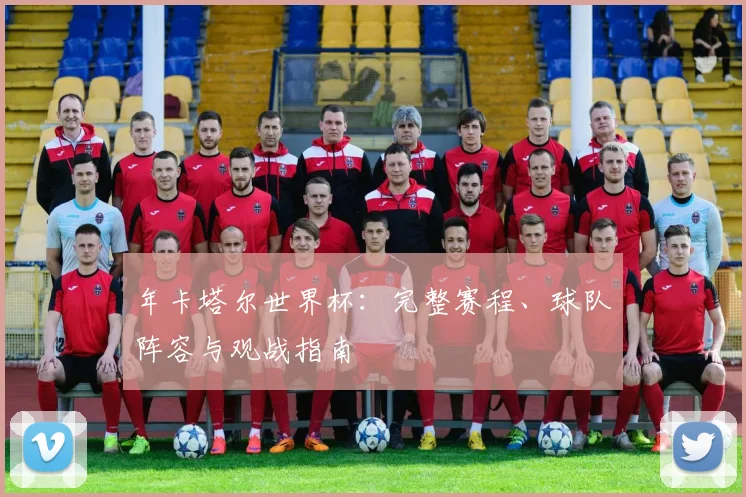 年卡塔尔世界杯：完整赛程、球队阵容与观战指南